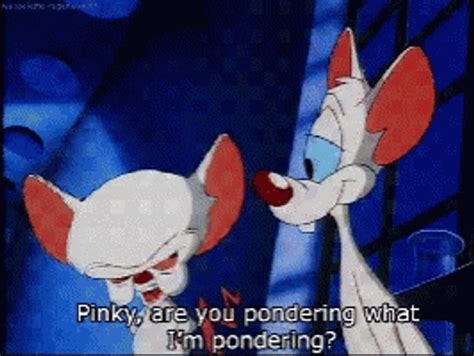 pinky and the brain gif